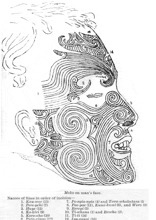 Maori Face Tattoo Map The Maori face map My face tells my story
